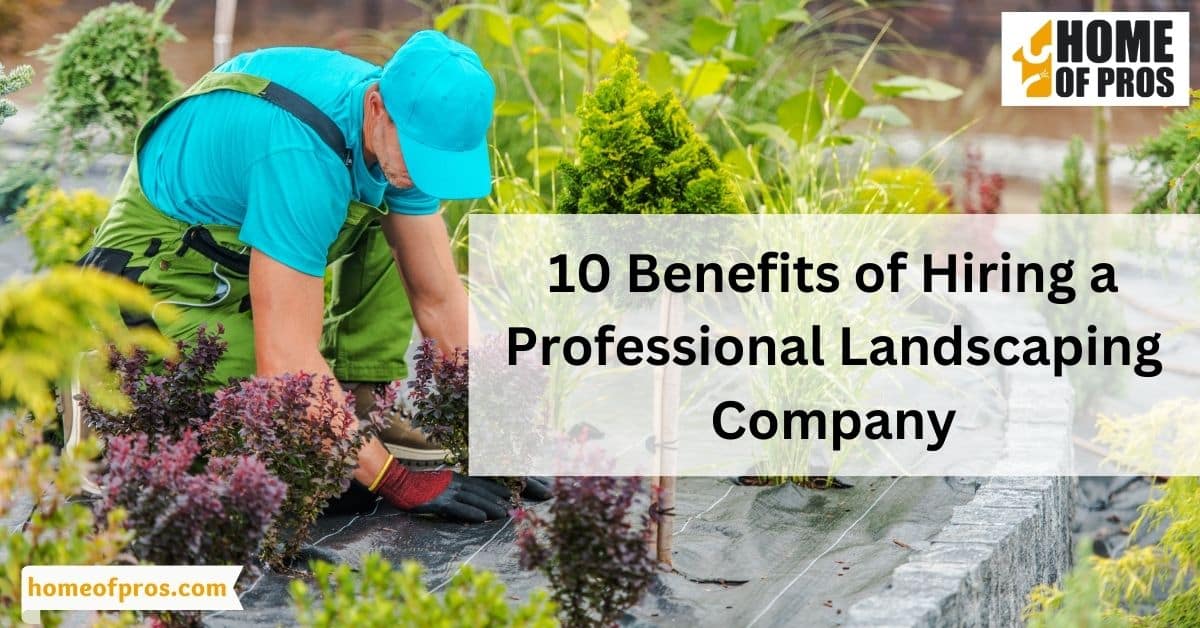10 Benefits of Hiring a Professional Landscaping Company
