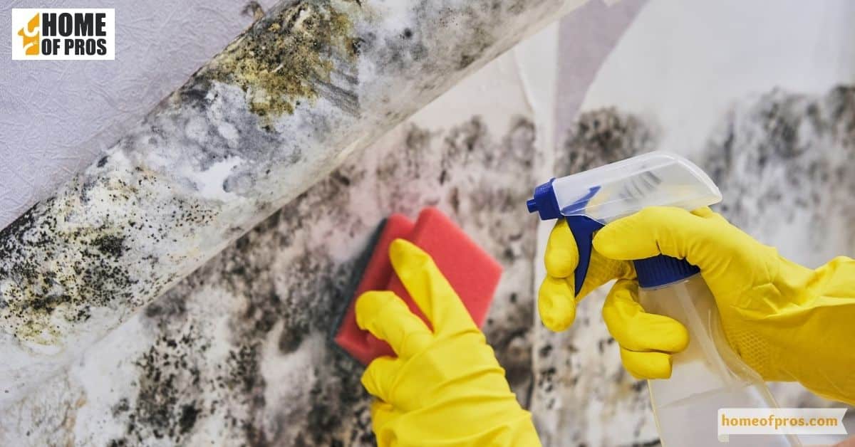 Cleaning and Degreasing