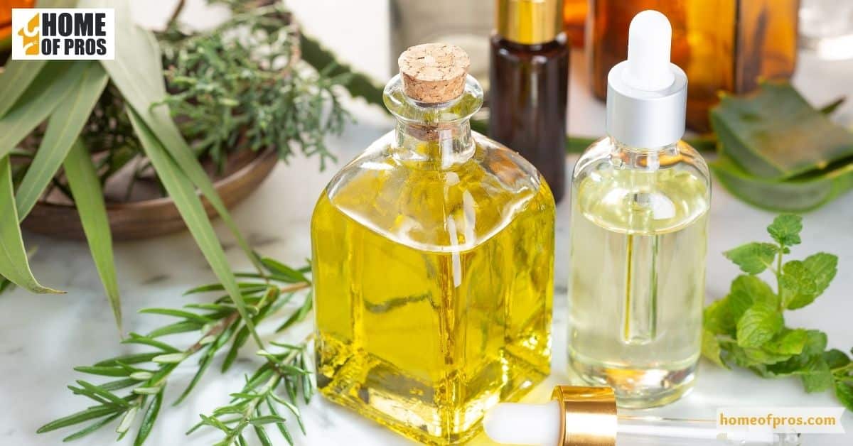 Natural deterrents and repellents