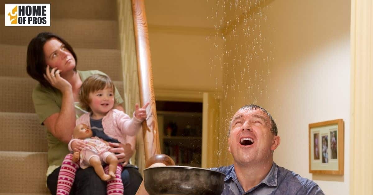 4. Roof Leaks and Water Damage