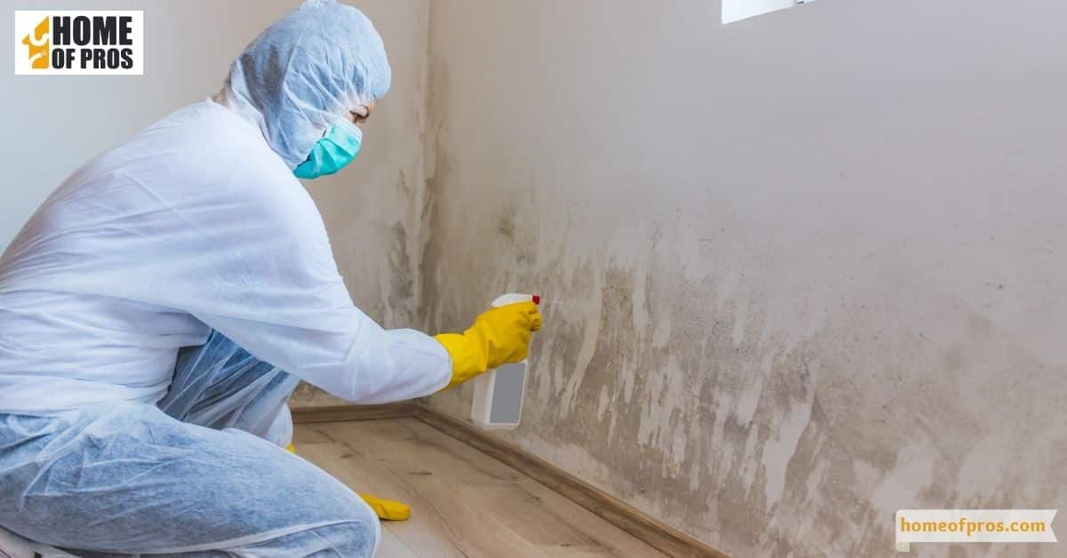 Chemical Stripping of Surfaces