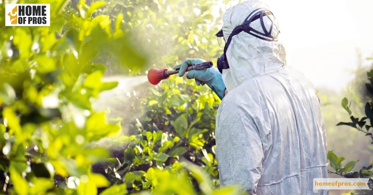 Finding a reputable pest control company