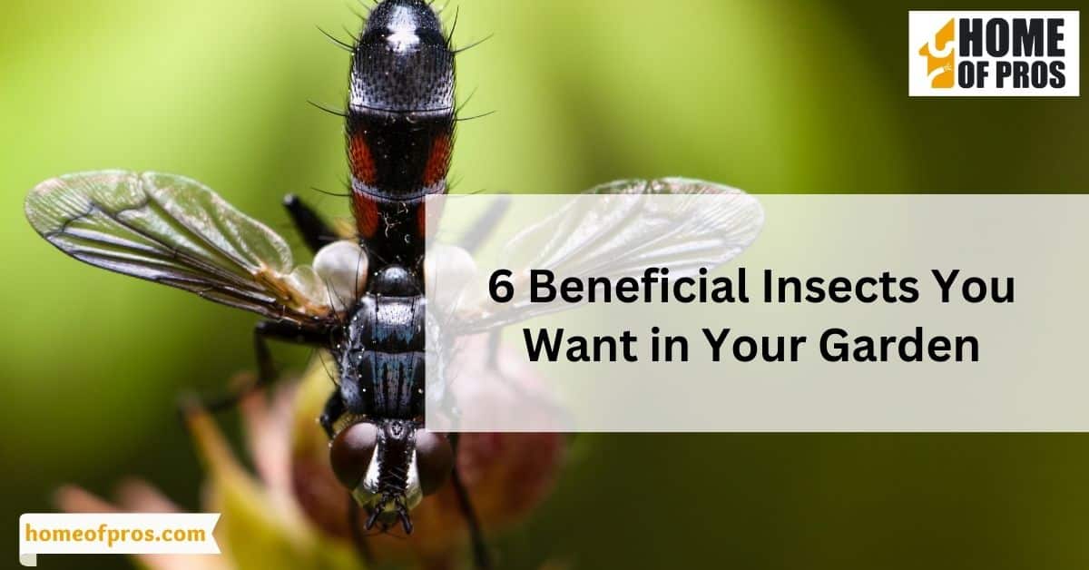 6 Beneficial Insects You Want in Your Garden