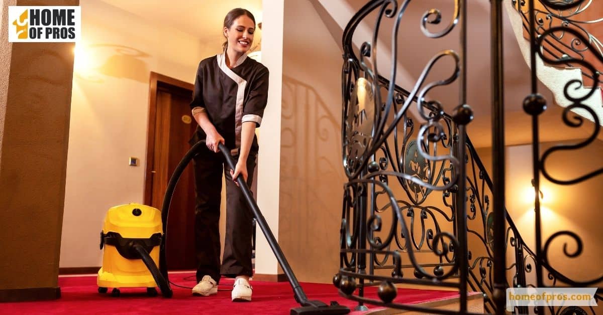 Regular Vacuuming and Cleaning