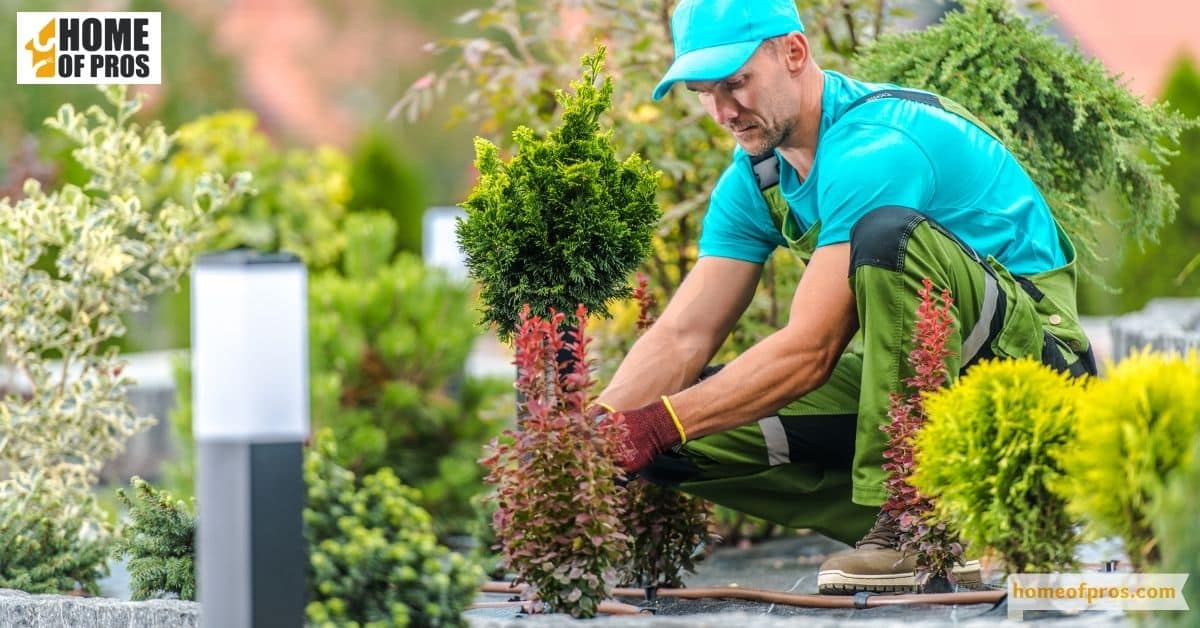 Adding Finishing Touches to Your Deck and Patio Makeover