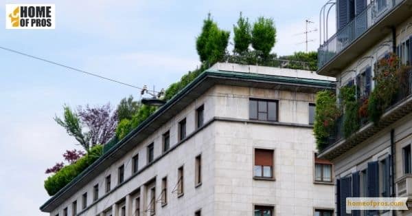 Advantages of Green Roofs