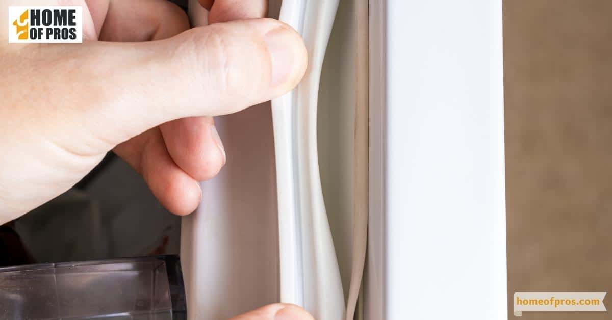 Allowing Grime to Linger on the Fridge Gasket