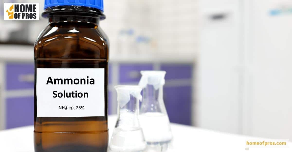 Ammonia and Borax Paint Remover