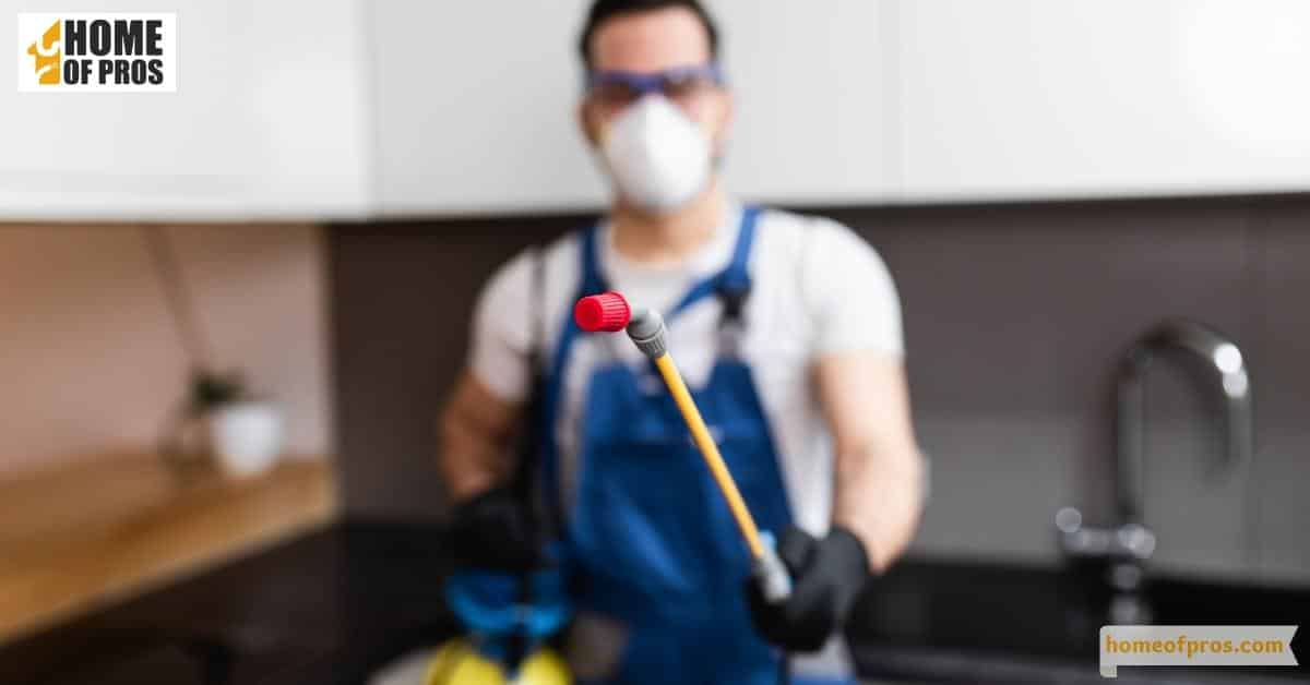 Avoiding Common Mistakes When Using Pesticides