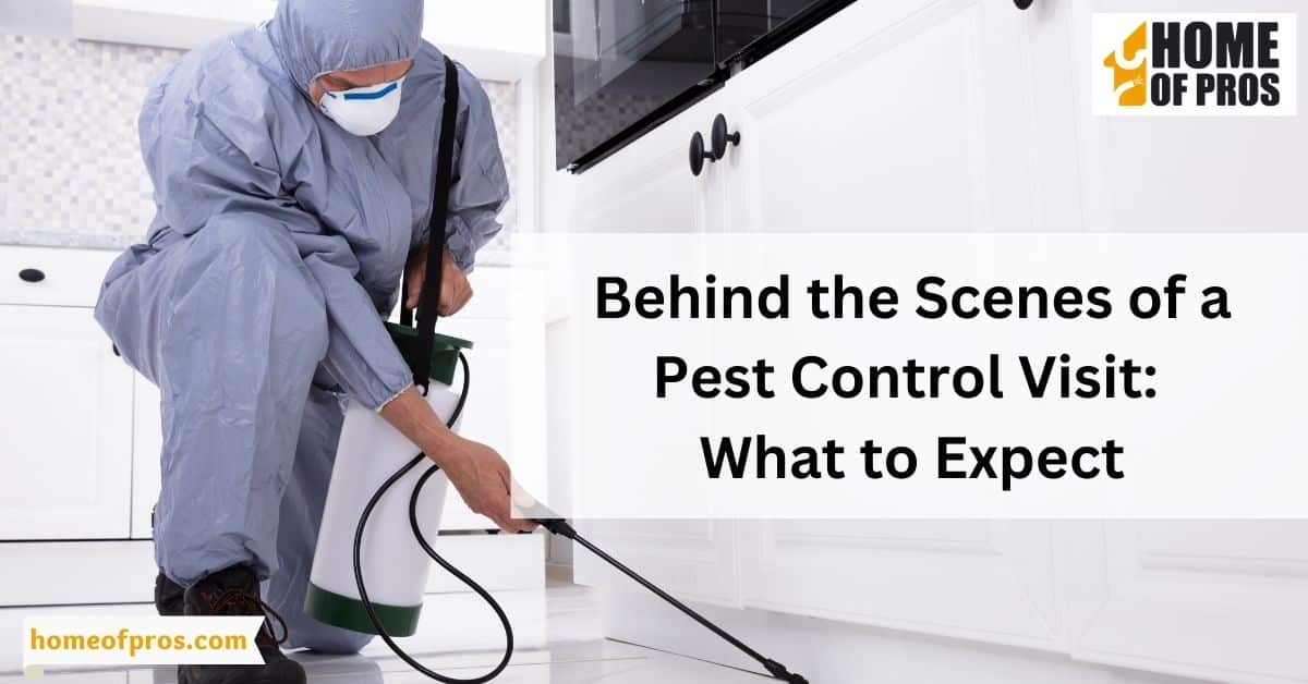 Behind the Scenes of a Pest Control Visit: What to Expect
