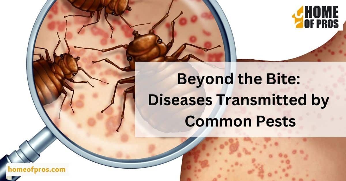 Beyond the Bite: Diseases Transmitted by Common Pests