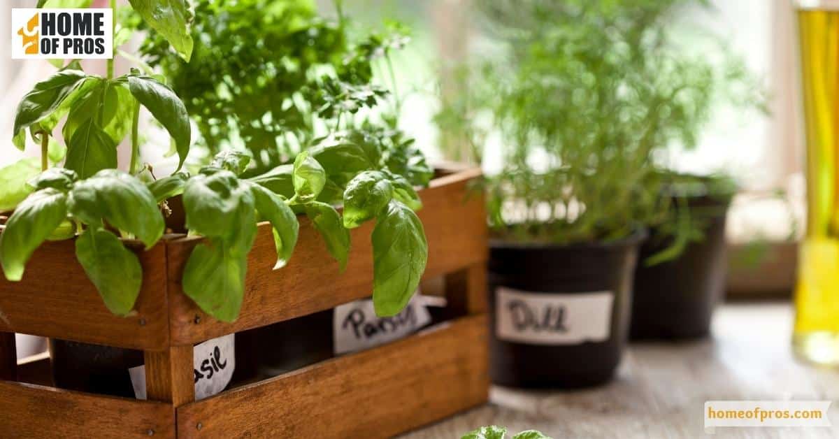 Choose Resistant Varieties