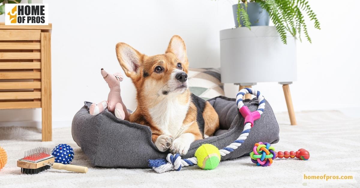 Clean pet areas