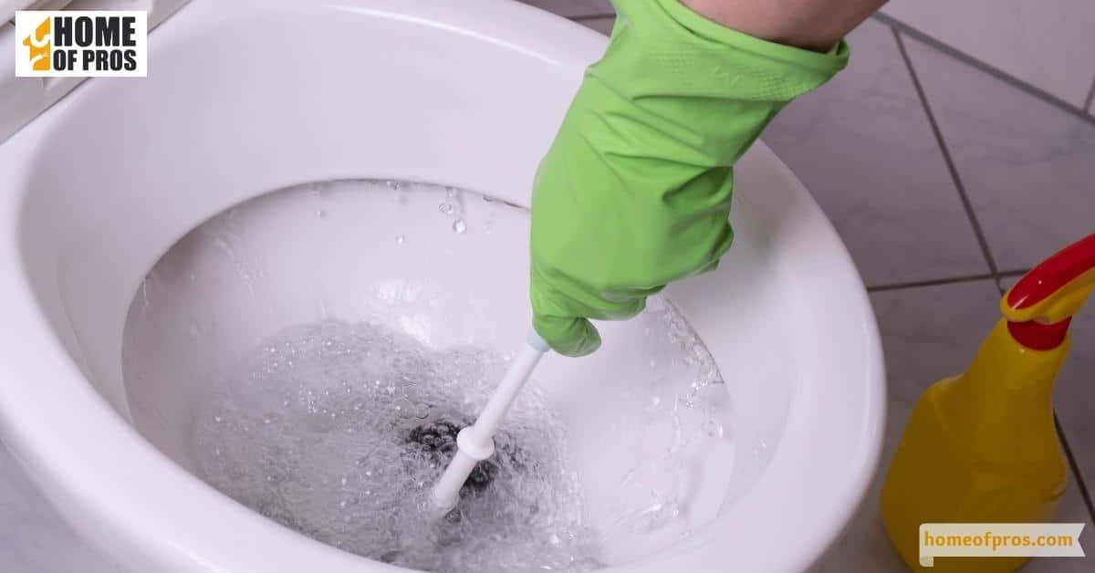 Clogged Toilet