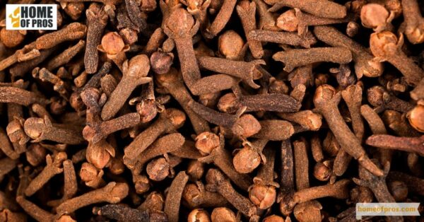 Cloves