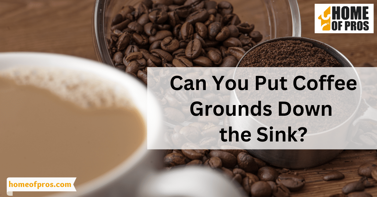 Can You Put Coffee Grounds Down the Sink?
