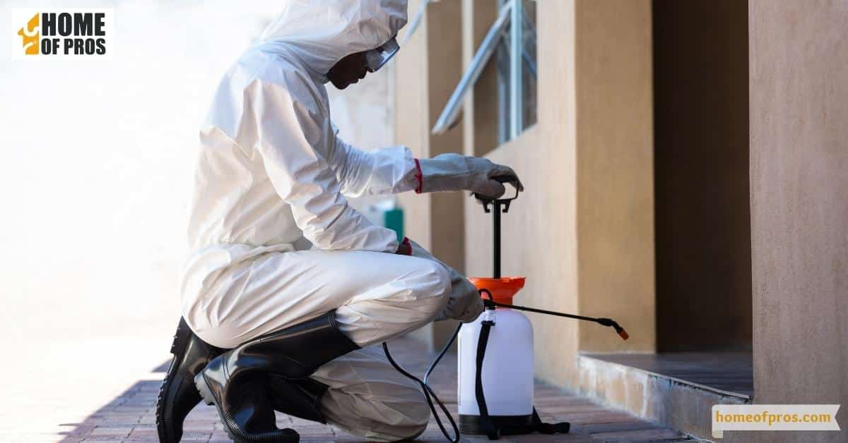 Considerations for Using Chemical Pest Control