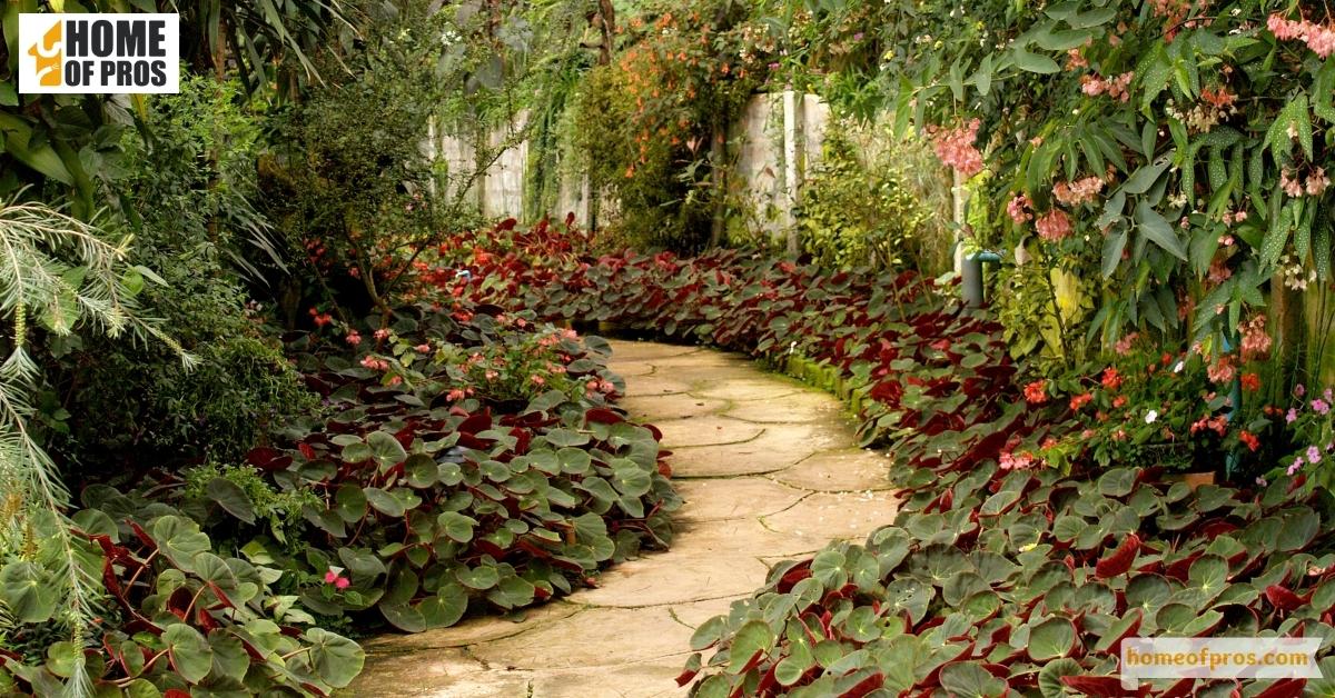 Create Permanent Walkways