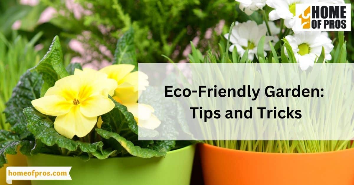 Eco-Friendly Garden: Tips and Tricks