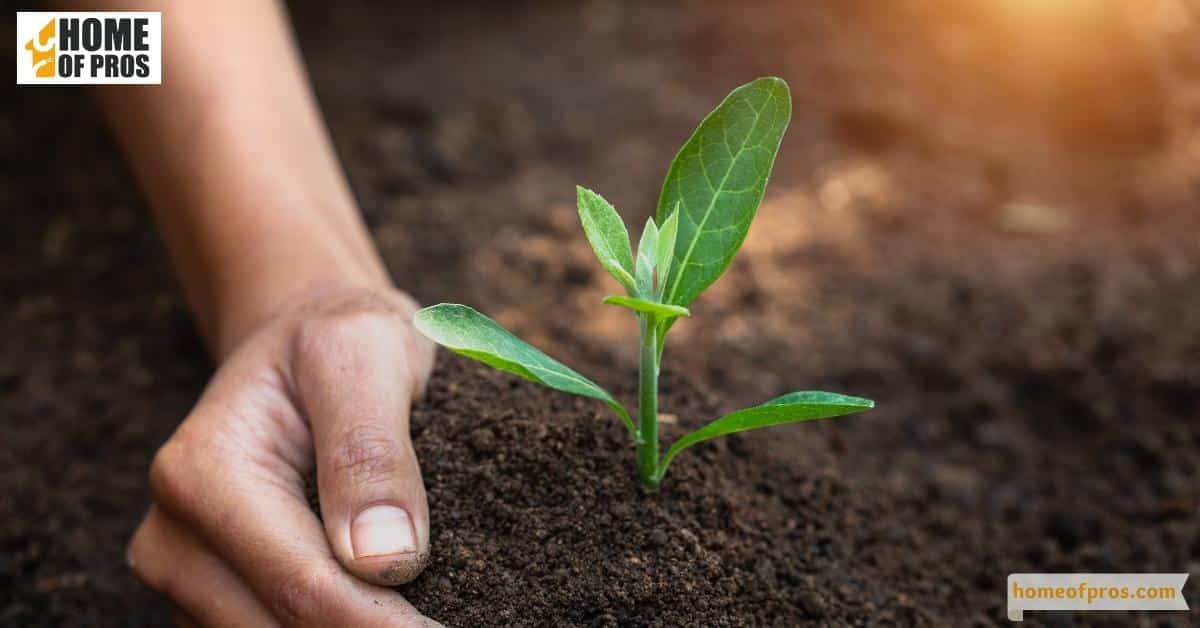 Encourage Healthy Soil