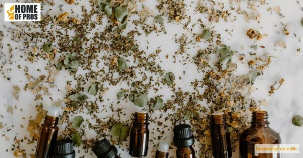 Essential Oils