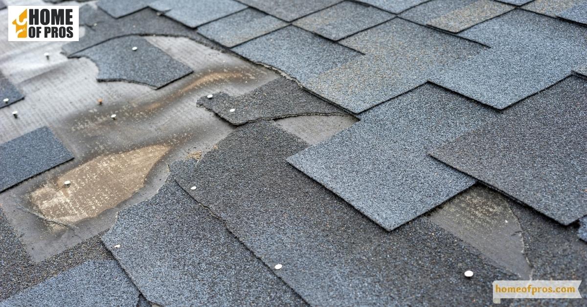 Exterior Inspection