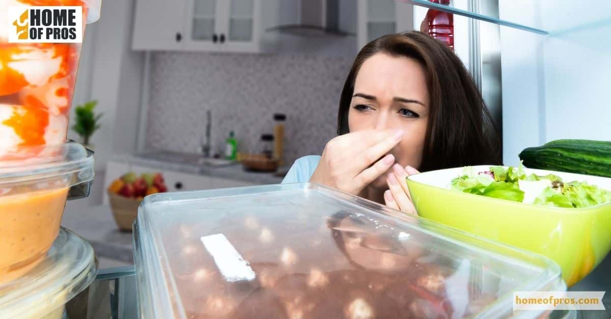 Foul Odors in the Refrigerator