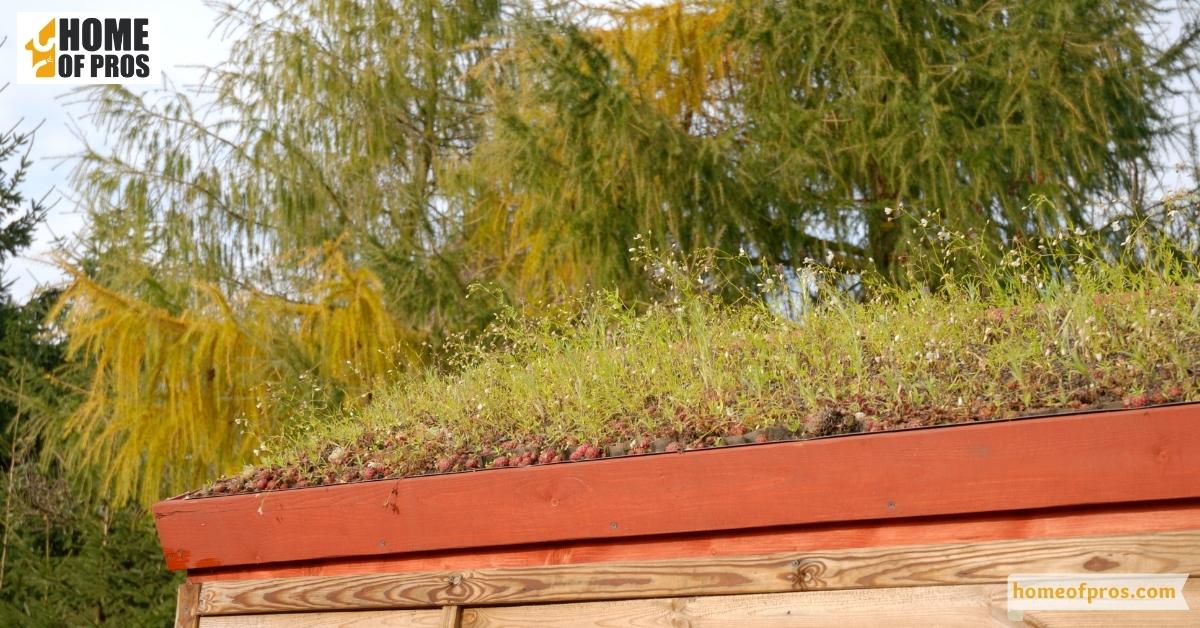 Green roofs