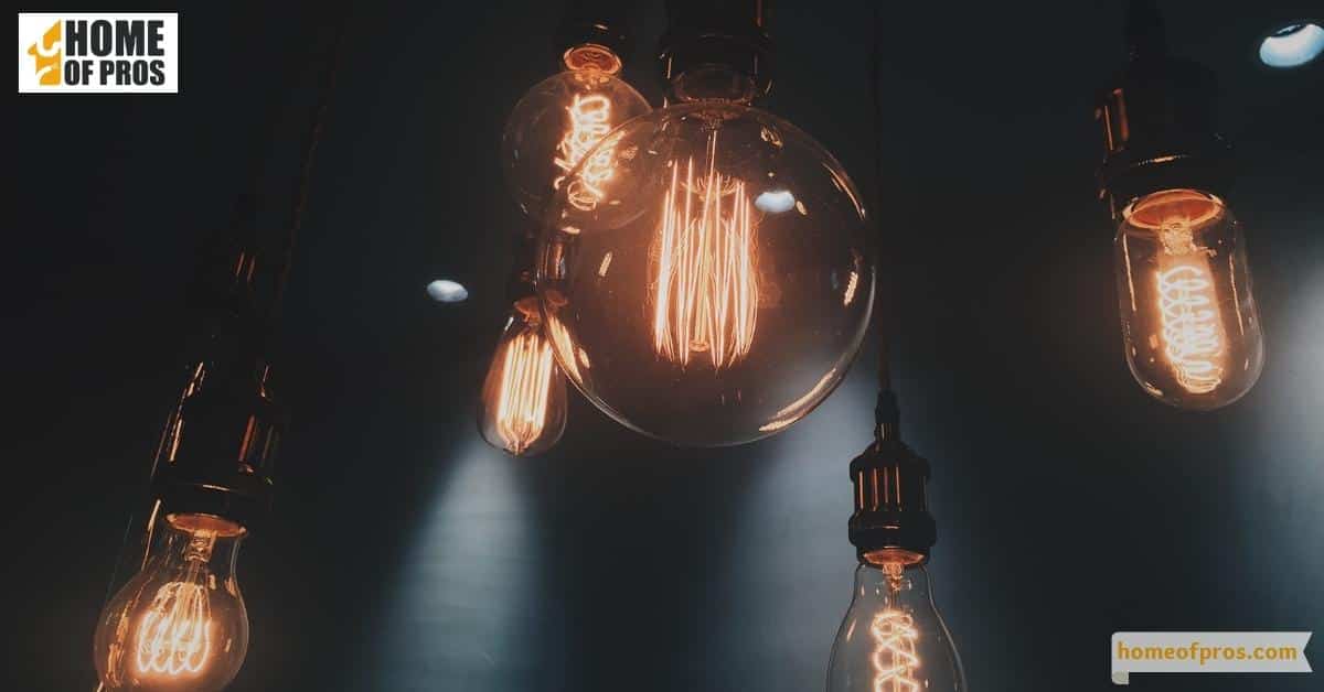 Halogen Bulbs