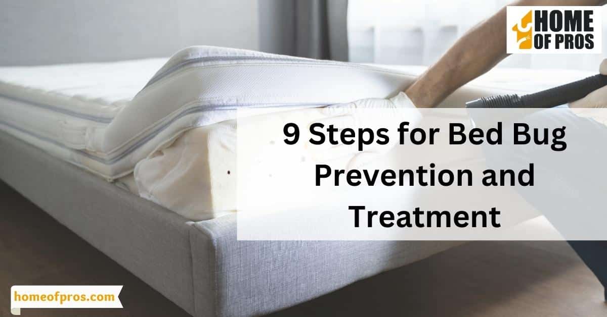 9 Steps for Bed Bug Prevention and Treatment