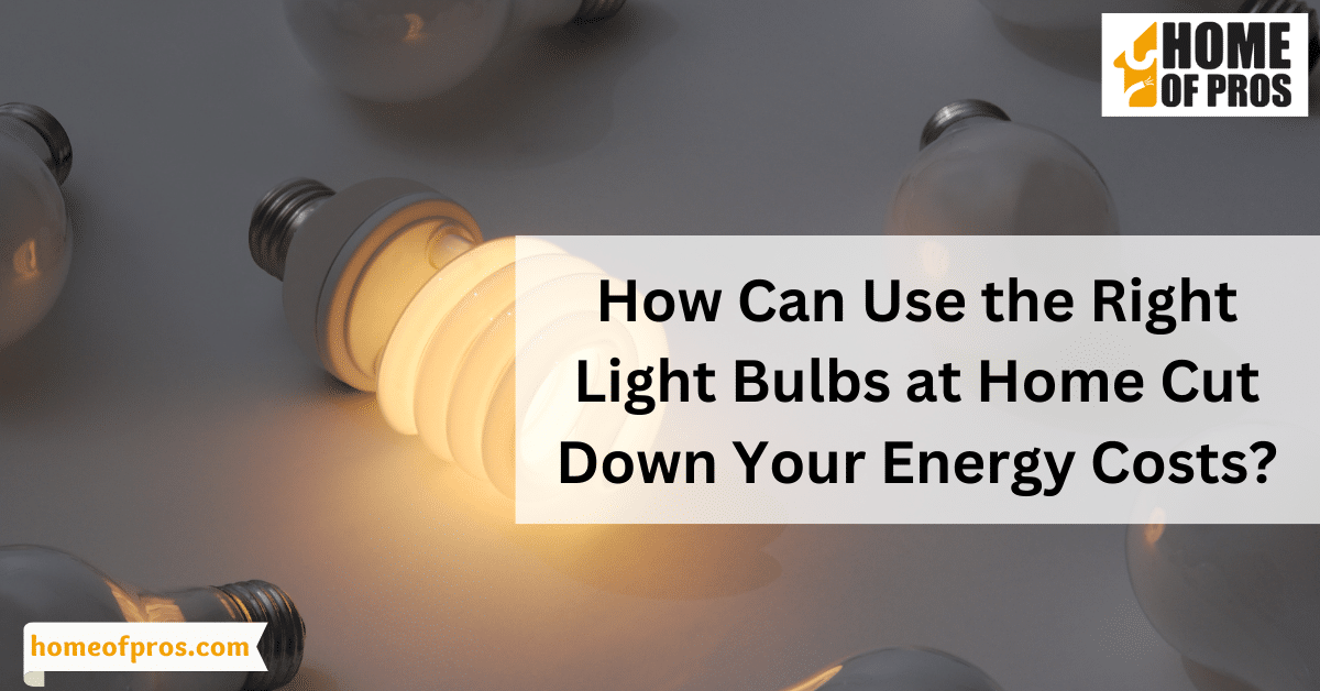 How Can Use the Right Light Bulbs at Home Cut Down Your Energy Costs?