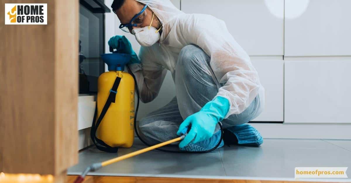  How Do Pest Control Services Work