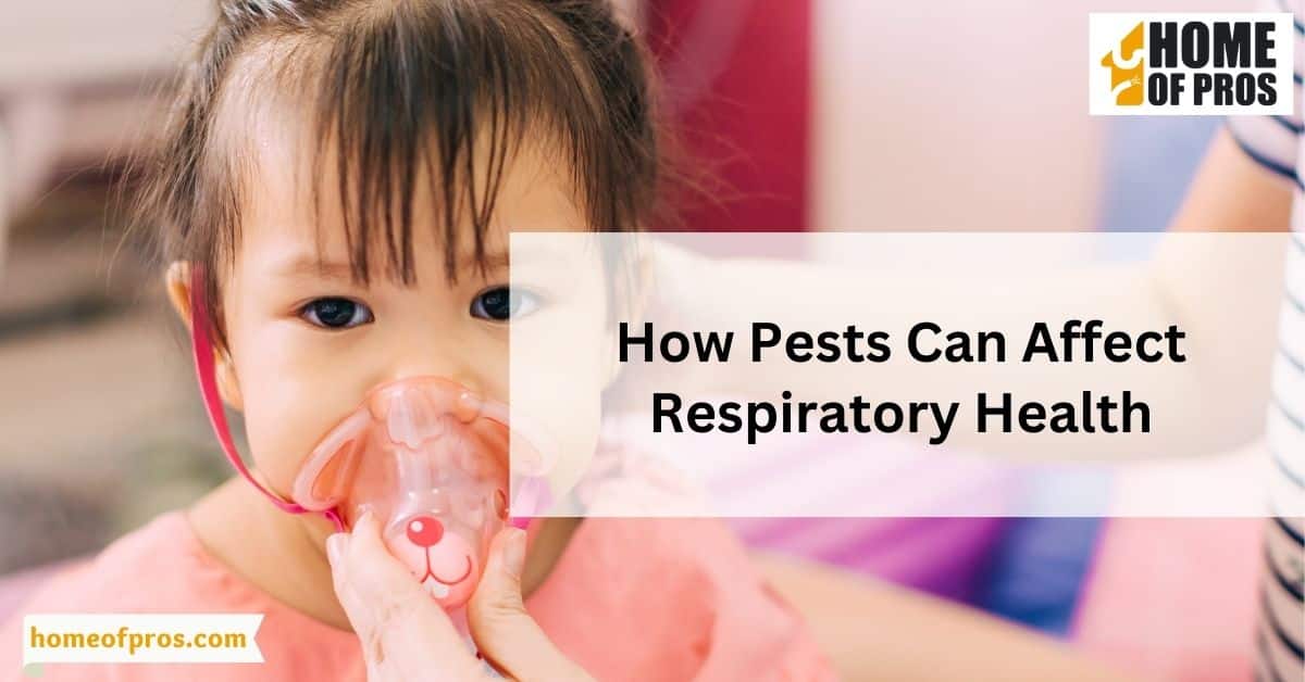 How Pests Can Affect Respiratory Health