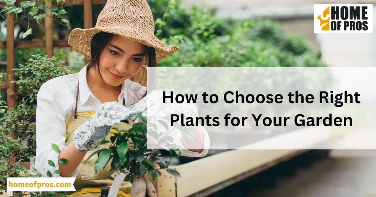 How to Choose the Right Plants for Your Garden