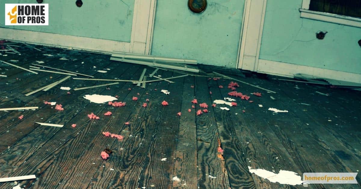 Identify the Squeaky Floorboard