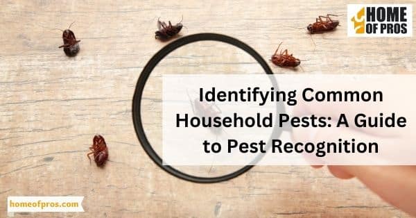 Identifying Common Household Pests: A Guide to Pest Recognition