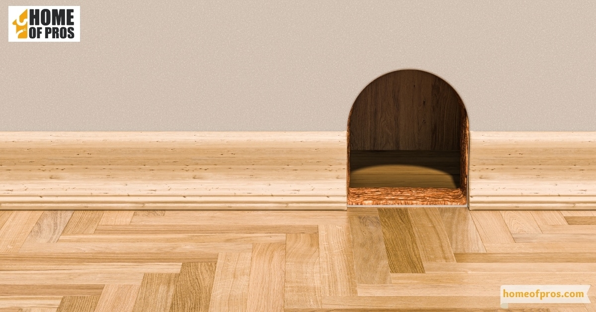 Identifying Entry Points on Your Property