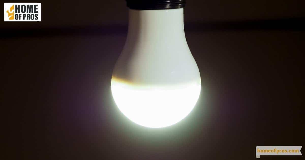 Light Emitting Diodes (LEDs)