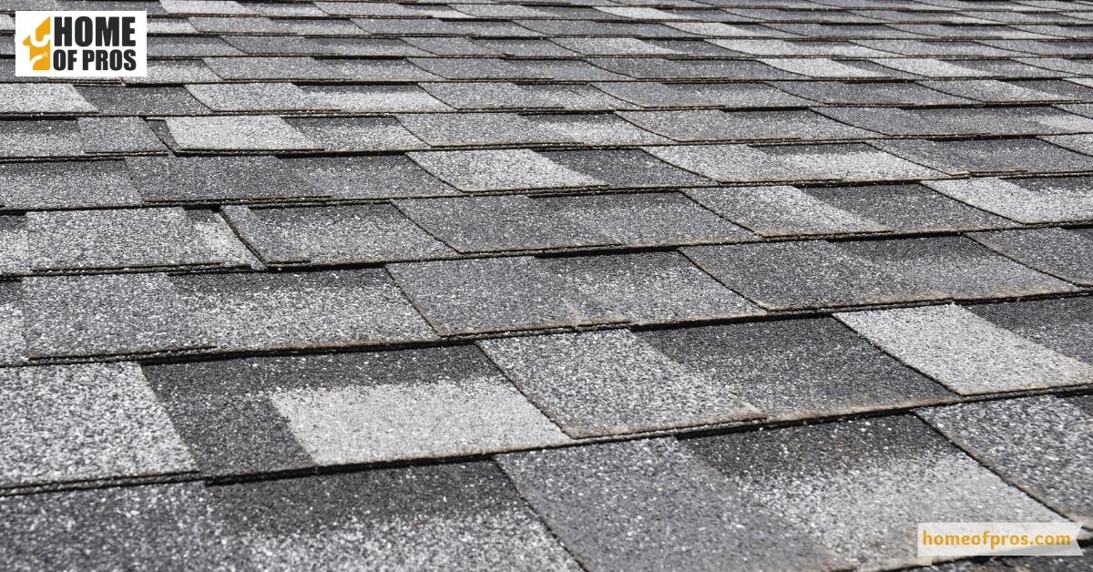 Maintenance of Roof Shingles