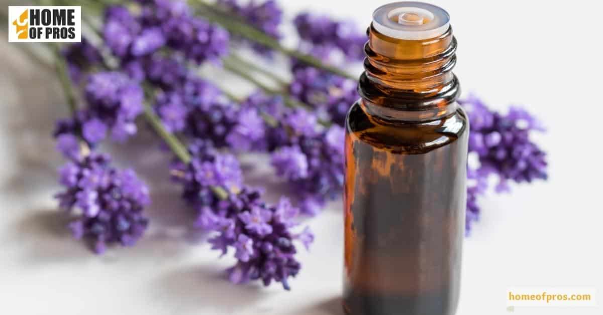 Make Use of Essential Oils