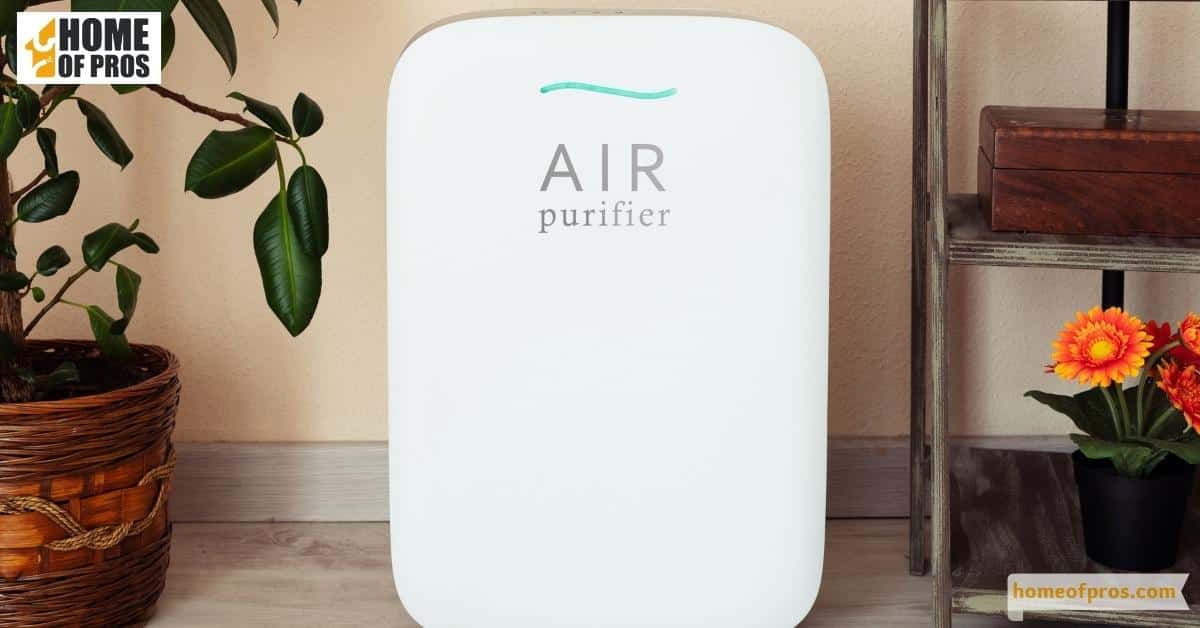 Maximize Efficiency with Air Purifiers
