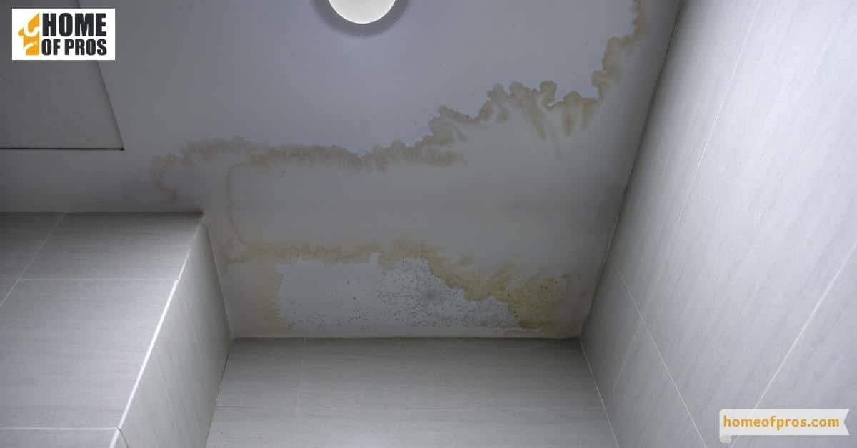 Mildew in the Attic