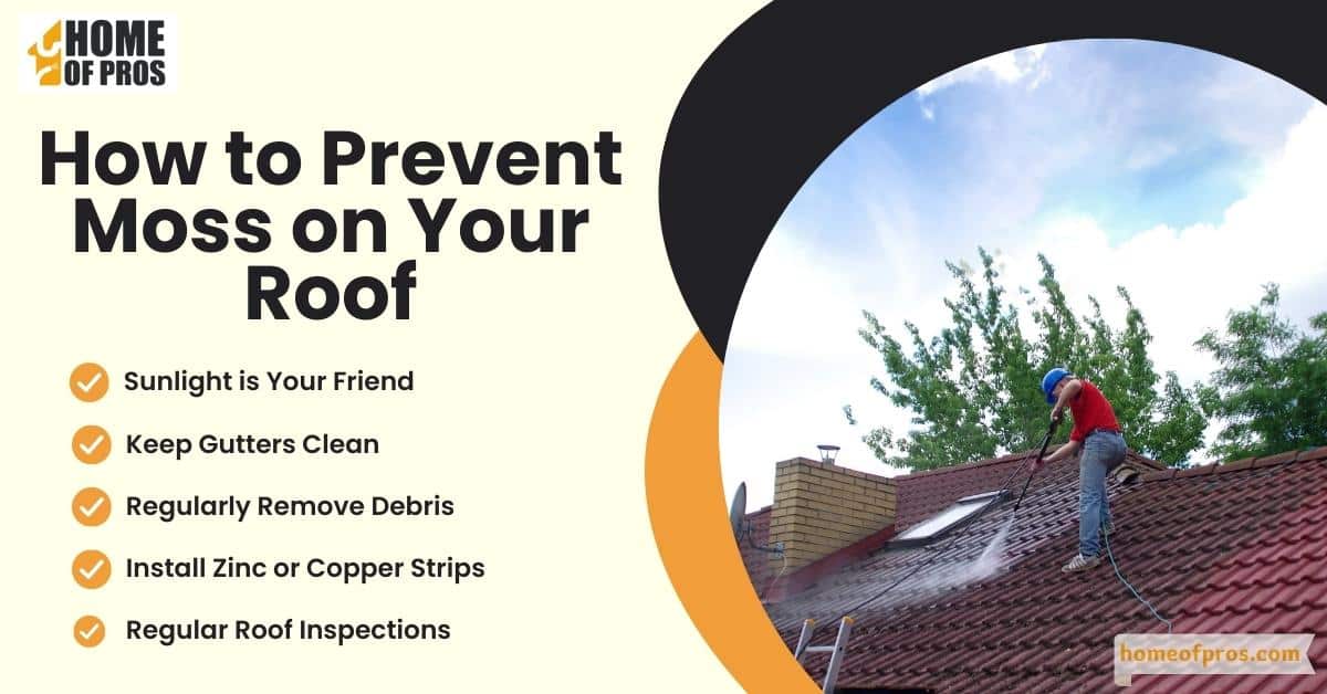 How to Prevent Moss on Your Roof