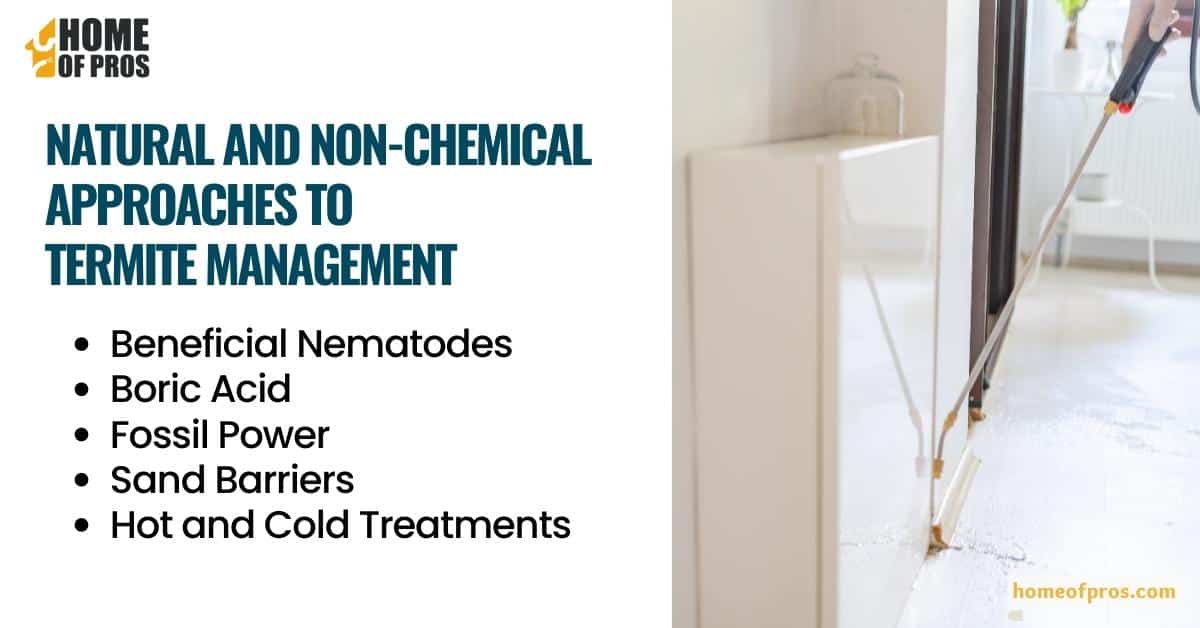 Natural and Non-Chemical Approaches to Termite Management