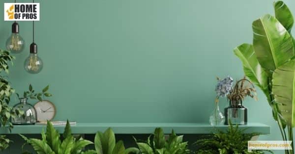 Nature-Inspired_ Earthy Green and Brown