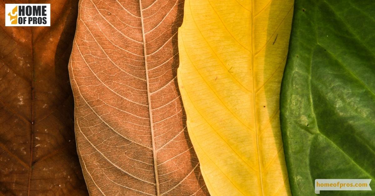 Not Considering the Climate Zone and Seasonal Variability