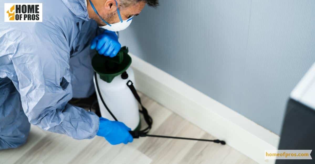 Pest Extermination