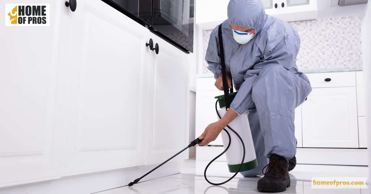 Pest Management Strategies for Shelter Season