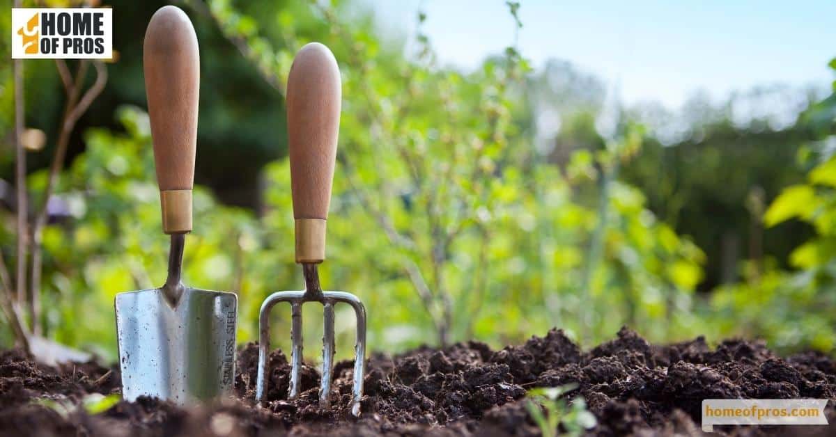 Practice Interplanting