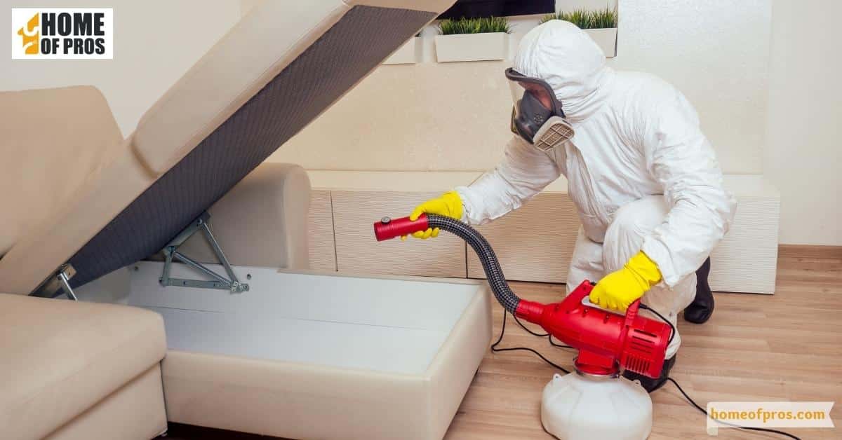 Preparing for a Pest Control Visit